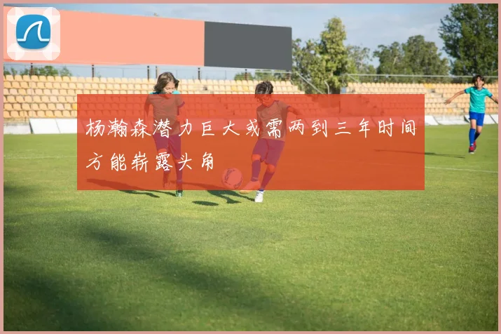 杨瀚森潜力巨大或需两到三年时间方能崭露头角