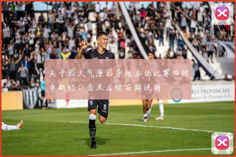 关于因天气原因导致本场比赛临时中断的公告及后续安排说明